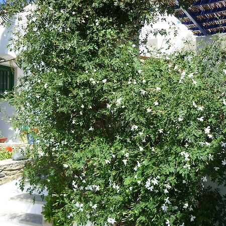 Porto Vlastos Agios Ioannis  Exteriör bild